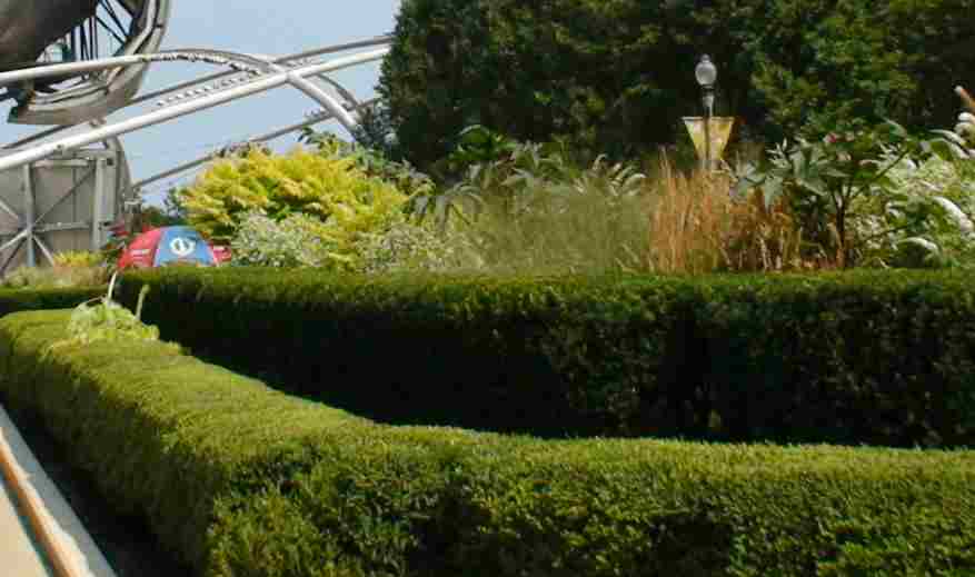 Buis Green Velvet – Image 5