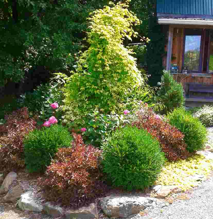 Buis Green Velvet – Image 6