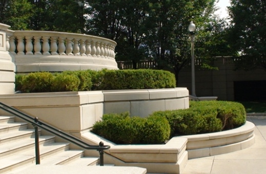 Buis Green Velvet – Image 2